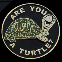 Are You A Turtle Lapel Pin